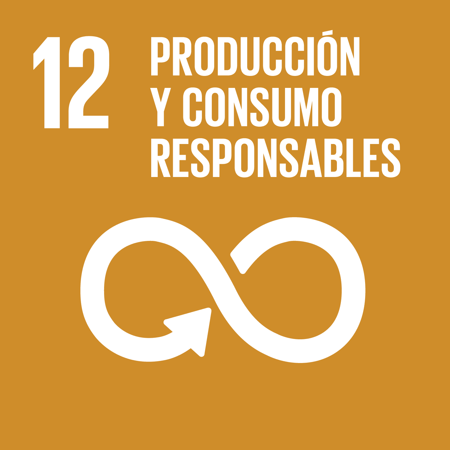 ODS Piragüilla - Producción y Consumo responsable