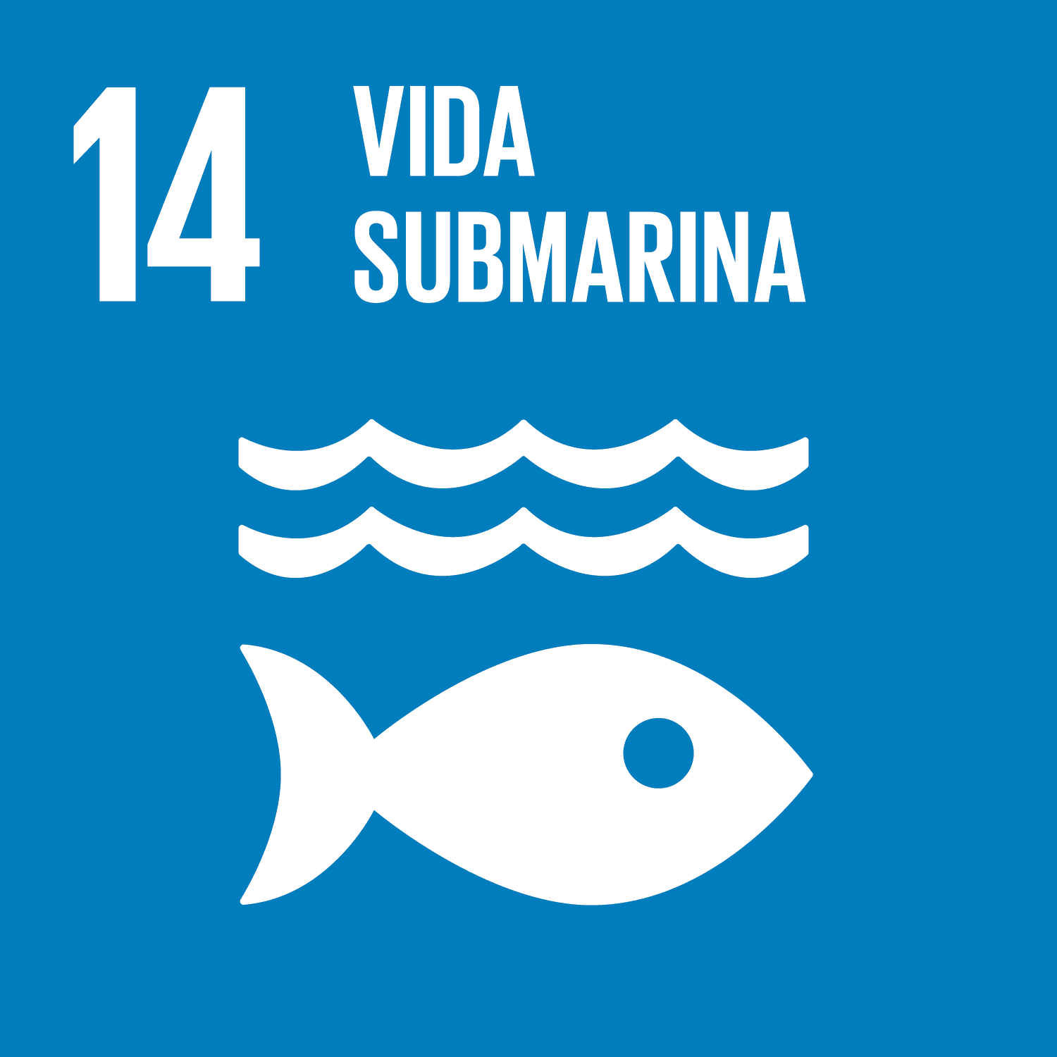 ODS Piragüilla - Vida Submarina