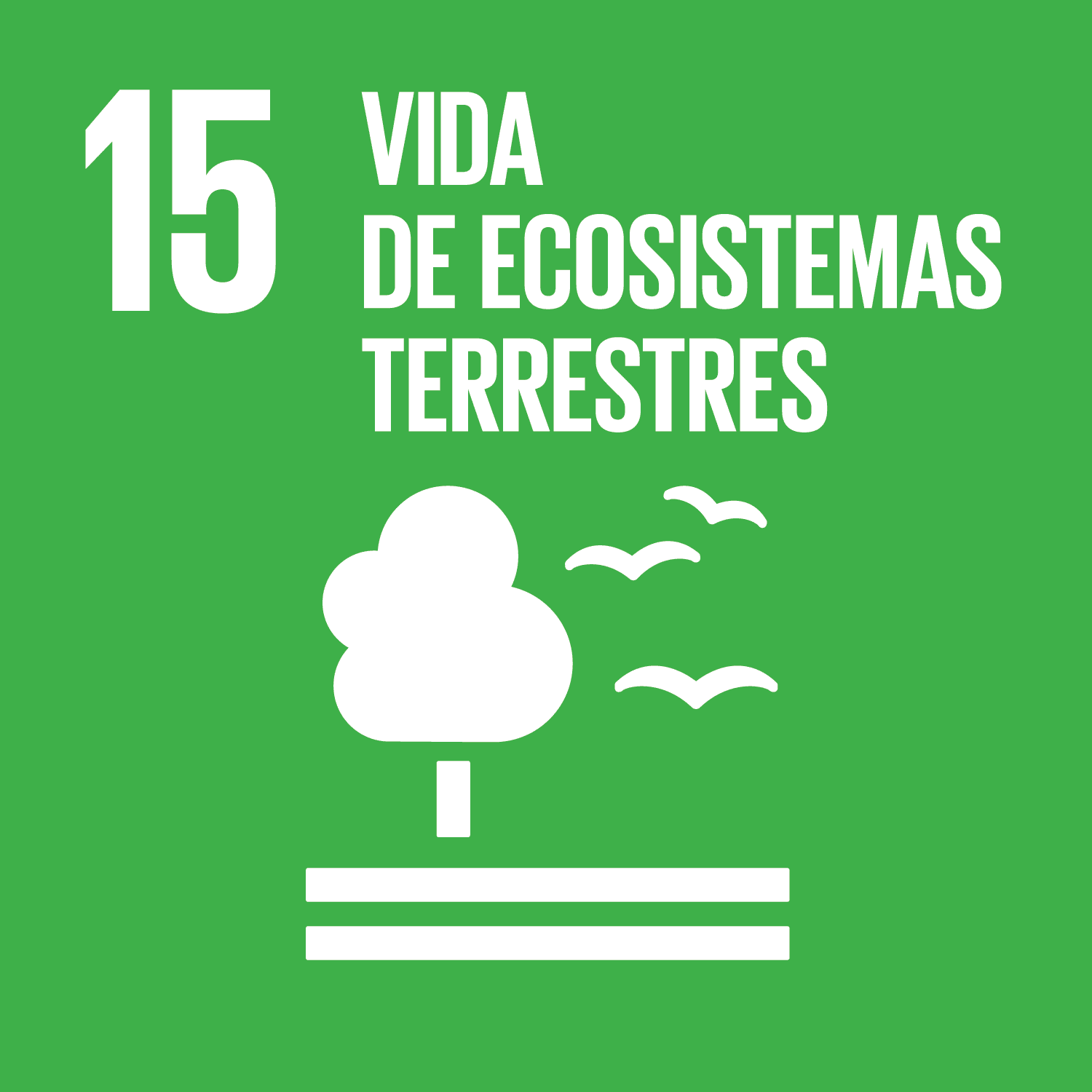 ODS Piragüilla - Vida de Ecosistemas Terrestres