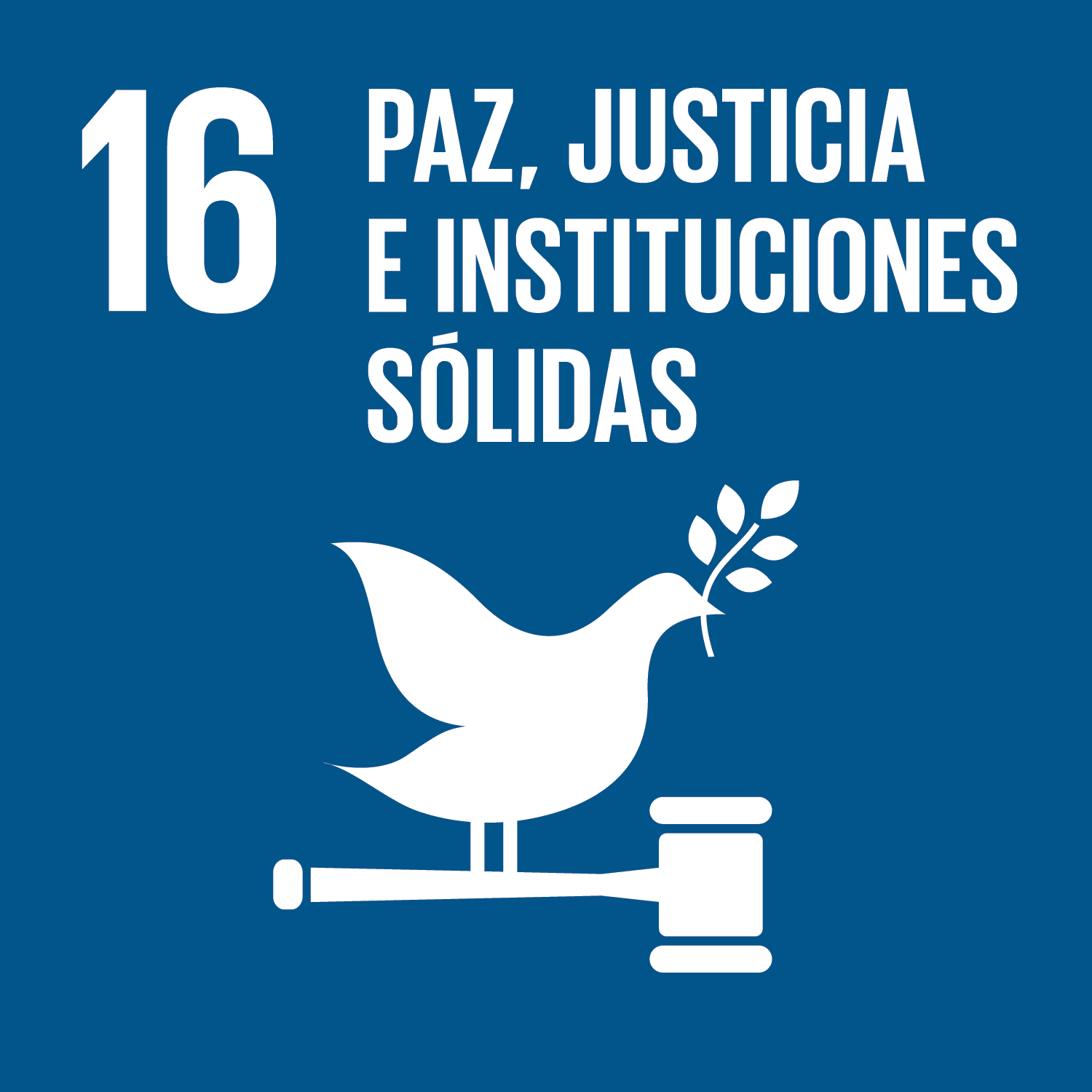 ODS Piragüilla - Paz Justicia e Instituciones Sólidas