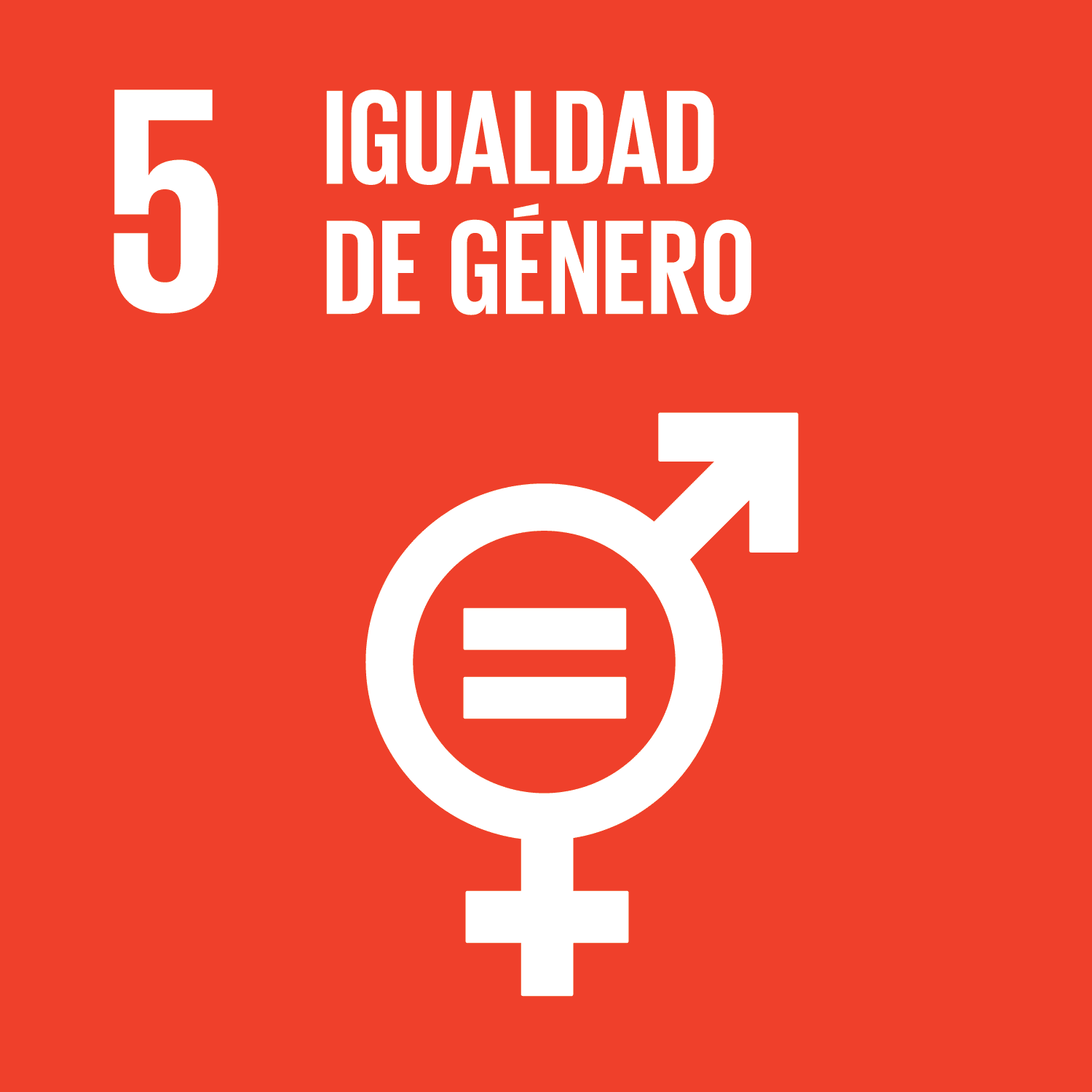 ODS Piragüilla - Igualdad de Género
