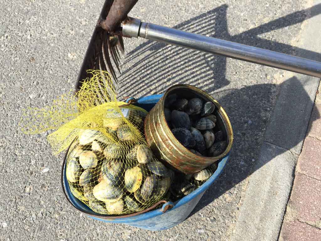 marisco y artes de marisqueo